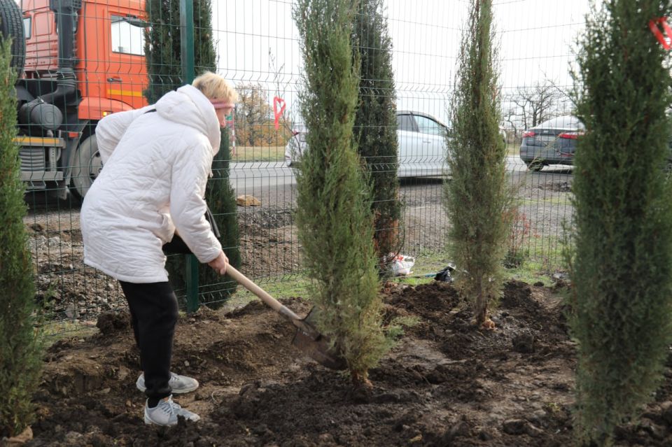 ������ ������: � ���� ������ ������� ���������� ��������, � ���������� ��� ������ ���������, �� ����� ������ ������ ������ � ������ �����