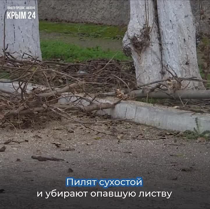 Несмотря на плюсовую температуру, на севере полуострова активно готовятся к наступлению холодов