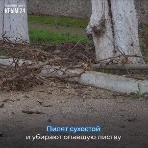 Несмотря на плюсовую температуру, на севере полуострова активно готовятся к наступлению холодов