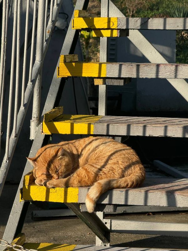 Погода на 6 декабря:. • пасмурно