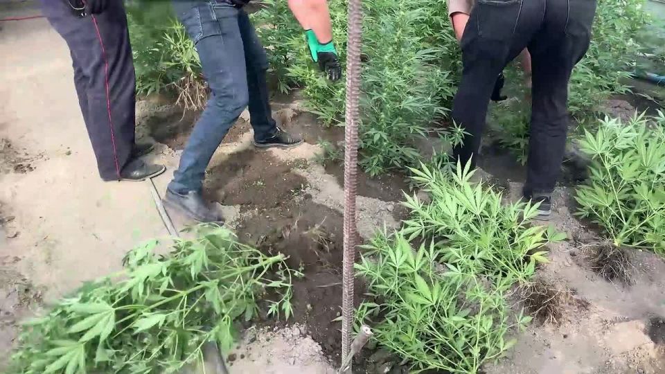 6 декабря — День образования подразделений по контролю за оборотом наркотиков МВД России