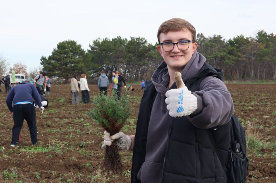 В Мекензиевском лесничестве заложили новый сосновый бор