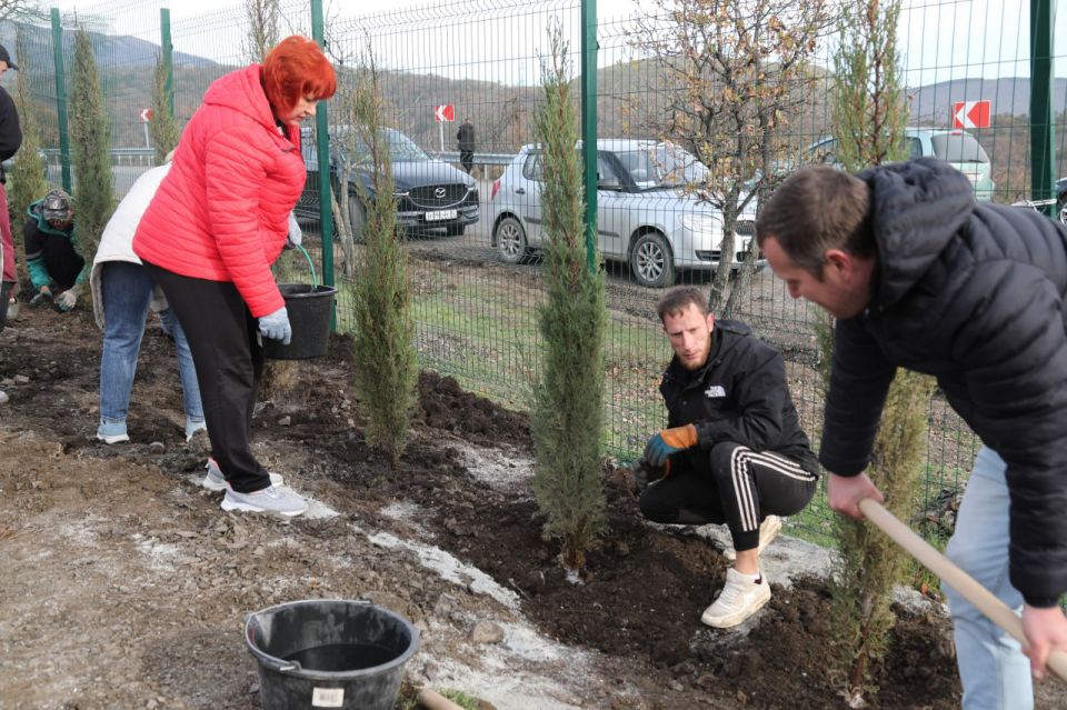 Кипарисы высадили на Аллее Героев в Алуште