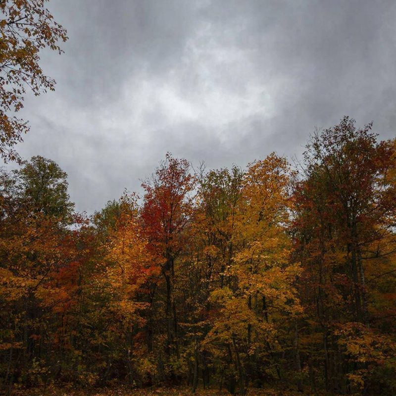 Какая погода ждёт жителей и гостей Крыма 6 декабря