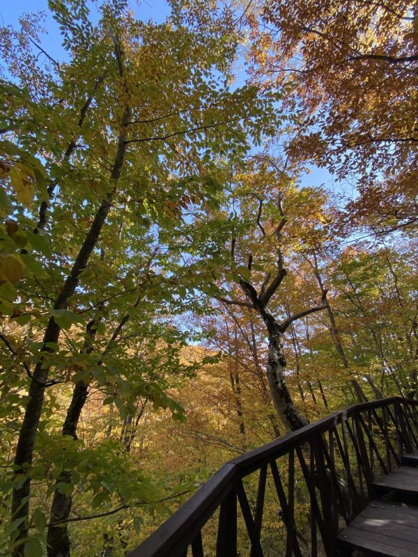 Дорога к водопаду Джур-Джур