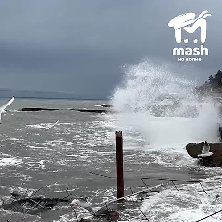 В Крыму до 9 декабря погодка будет просто жуть: сильный ветер, а кое-где ещё и ливни