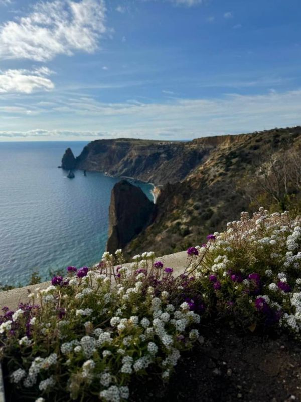 Погода на 7 декабря:. • переменная облачность, возможен дождь
