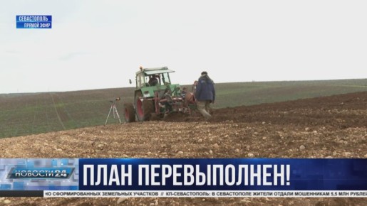 Развитие виноградарской отрасли