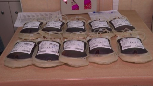 Сдать кровь и спасти не одну жизнь — всего 450 миллилитров могут помочь 3 людям