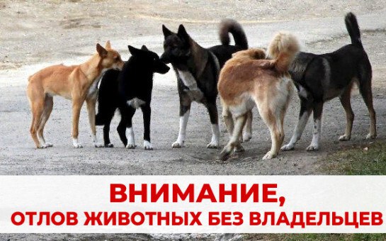Уважаемые жители и гости города Армянска!