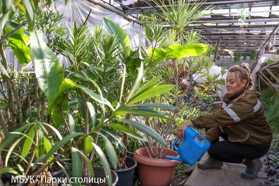 Весна ещё далеко, но красота будущих цветников создаётся уже сейчас!