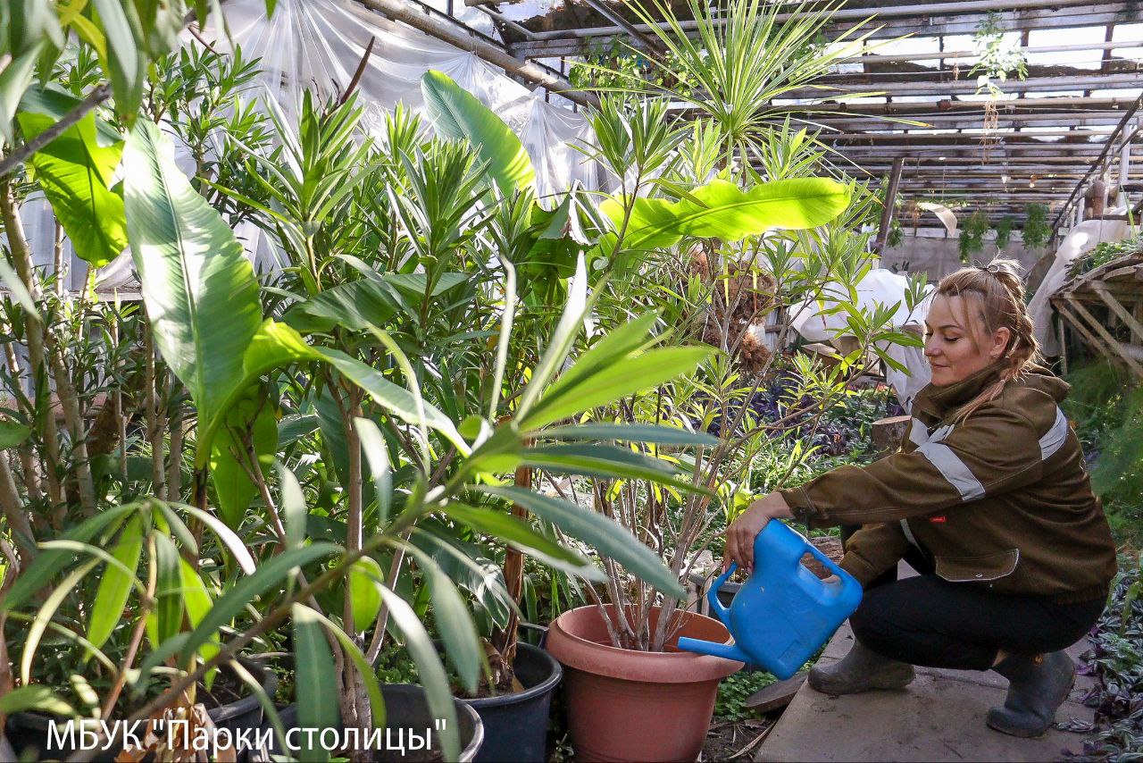 Весна ещё далеко, но красота будущих цветников создаётся уже сейчас!