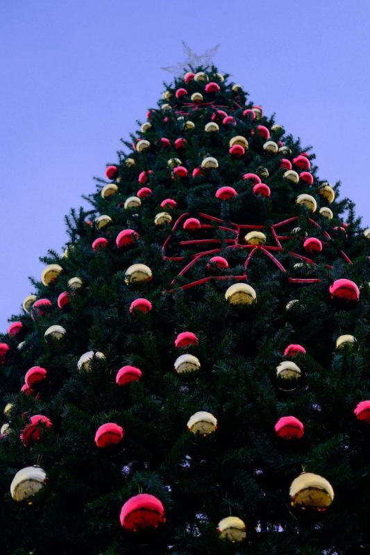 ��� ����� �������� ����� ��������� ������ � ����