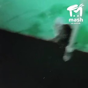 Фекальная река третий день течёт в 100 метрах от ялтинской администрации