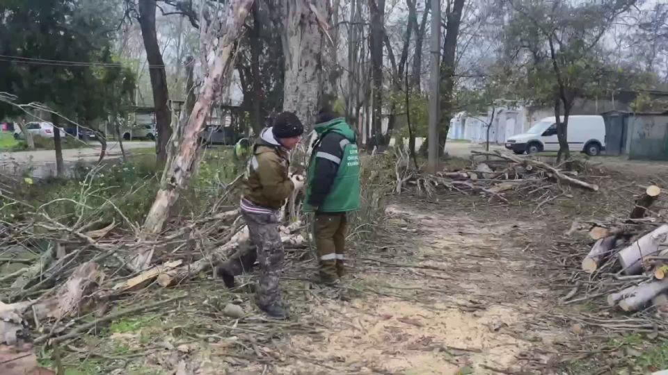 В Керчи продолжаются работы по ликвидации последствий сильного ветра, обрушившегося на город накануне
