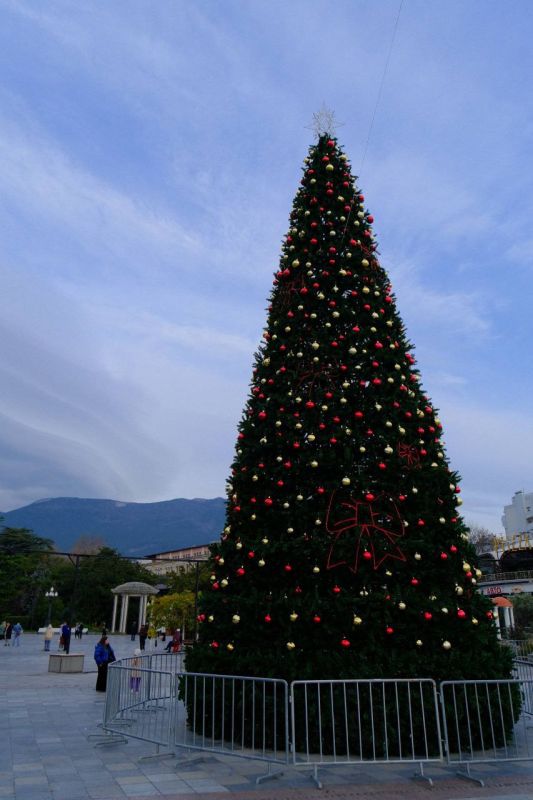 Вот такой контраст можно наблюдать сейчас в Ялте