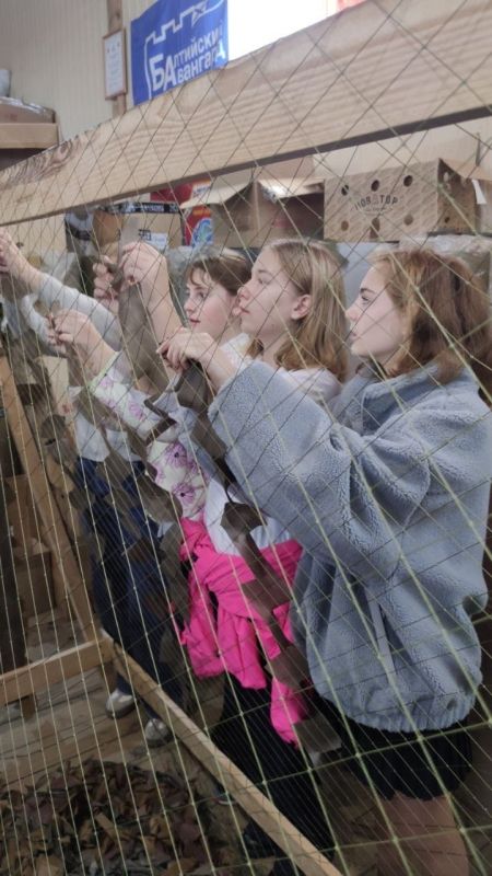 ����� ��������: ���������� ��������, ������� � ����� ��� ������ ��������� ���������� ��� ������ ��������� ��������