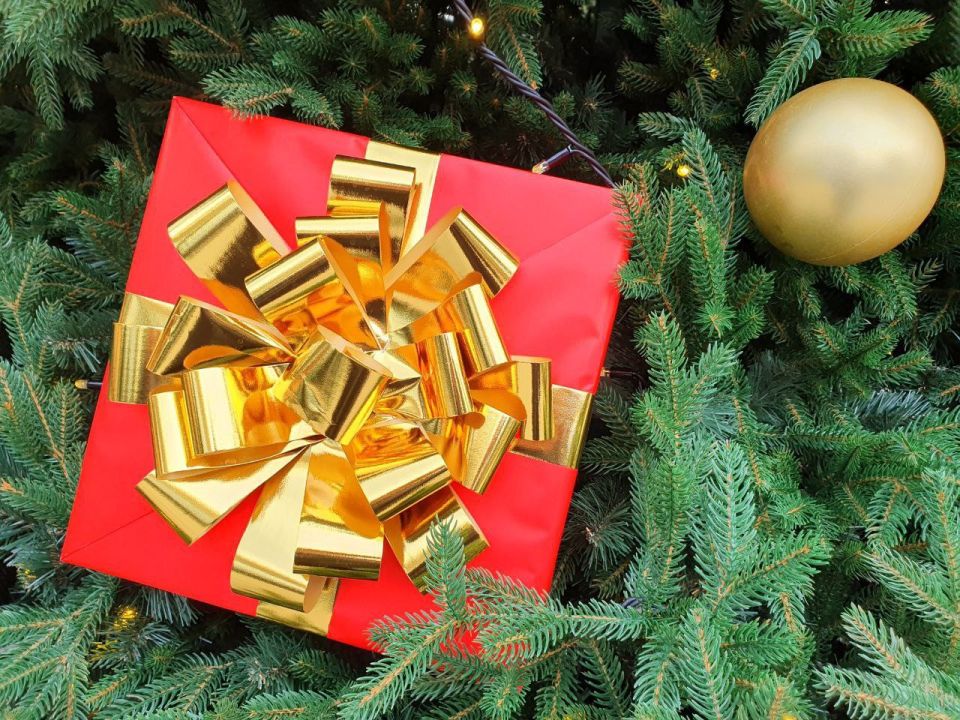 ����� ��������: ���� ��������������. ������ ������, ������!