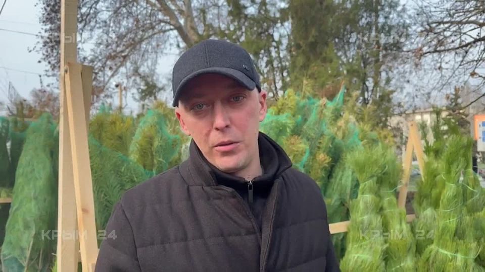 В Симферополе открылась первая точка продажи ёлок