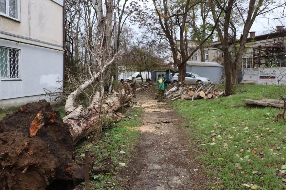 В Керчи ликвидируют последствия вечерней непогоды В Керчи ликвидируют последствия вечерней непогоды