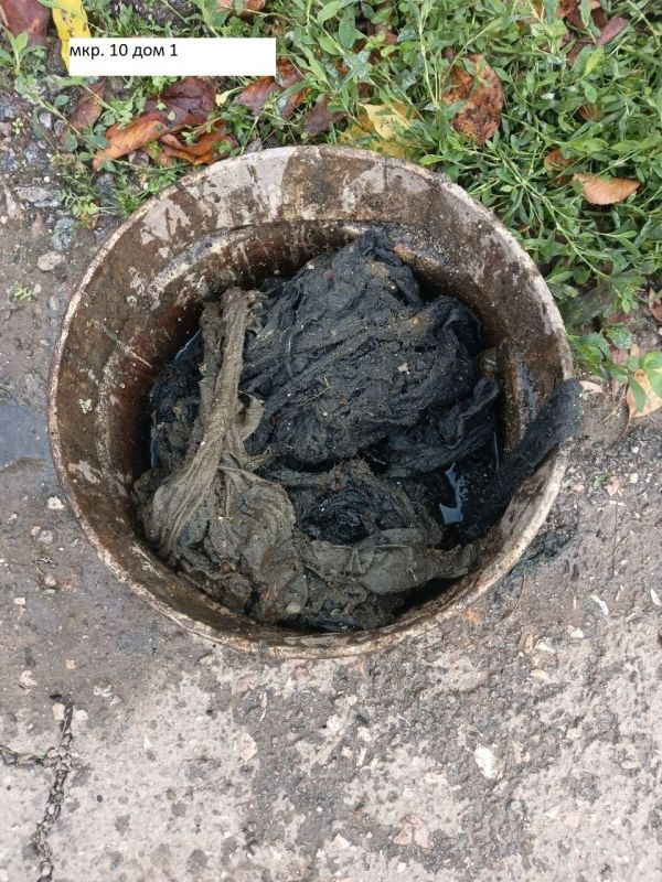 ����������������� ������ ��� �� "���� �����" ����������� ��������� � ���, ��� �������