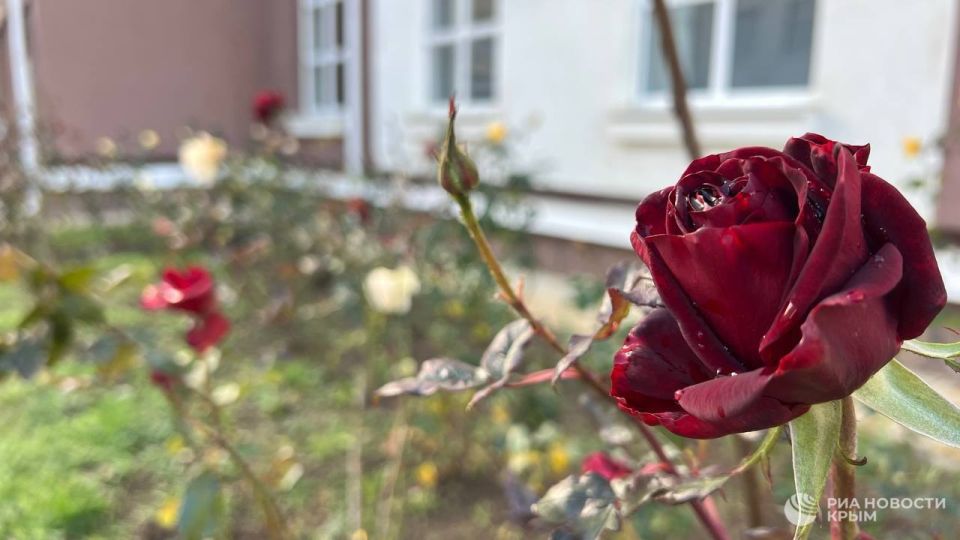 ���������� ������ � ����� ��� ������ �� ��������, ������ �������� �������� ������������ ������