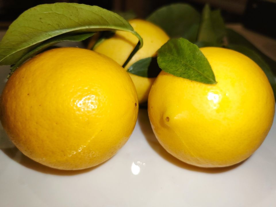 С добрым утром, Армянск!. Пусть заряд энергии Вас переполнит, а замечательное настроение сопровождает весь день