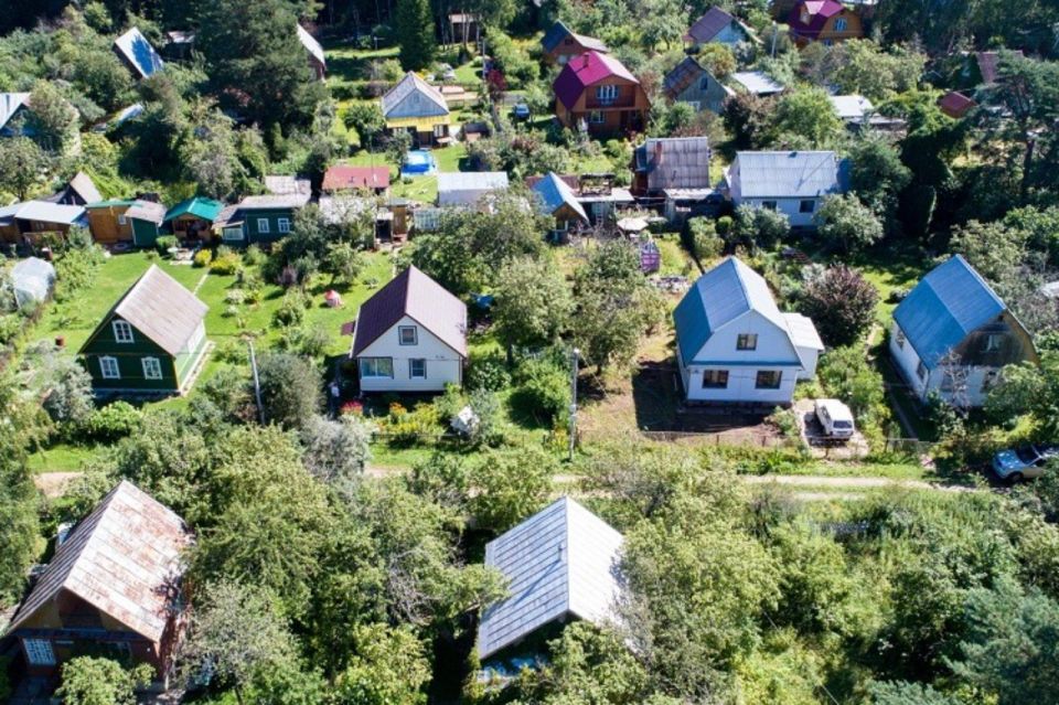 Анна Анюхина: Полезная информация для членов СНТ