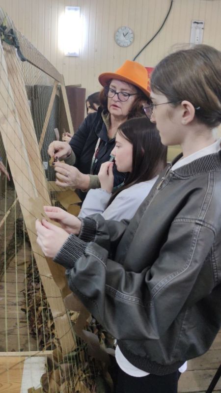 ����� ��������: ���������� ��������, ������� � ����� ��� ������ ��������� ���������� ��� ������ ��������� ��������