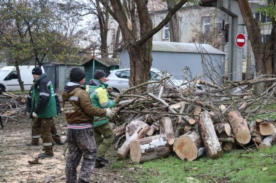 � ����� ������������ ������ �� ���������� ����������� �������� �����, ������������� �� ����� ��������