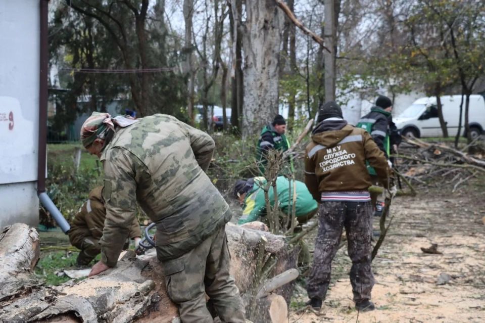 � ����� ������������ ������ �� ���������� ����������� �������� �����, ������������� �� ����� ��������