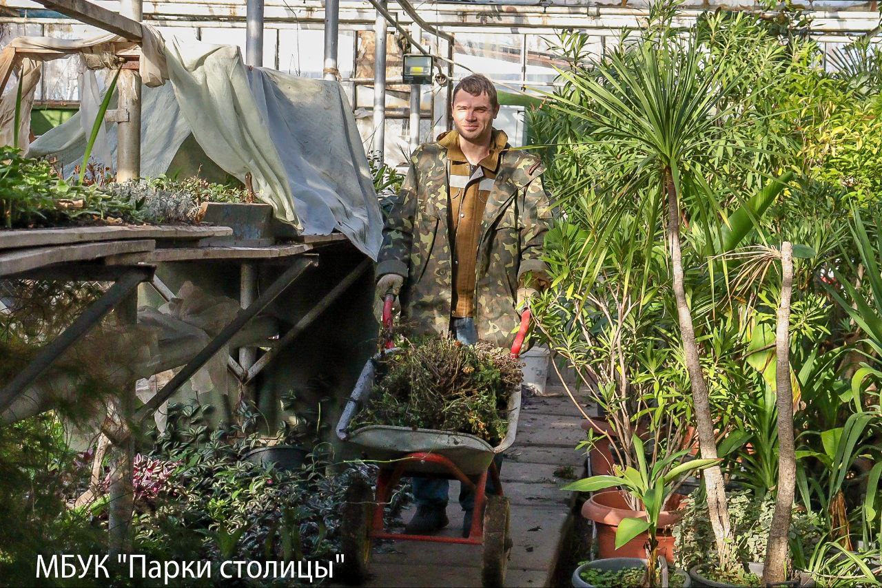 Весна ещё далеко, но красота будущих цветников создаётся уже сейчас! Весна ещё далеко, но красота будущих цветников создаётся уже сейчас!