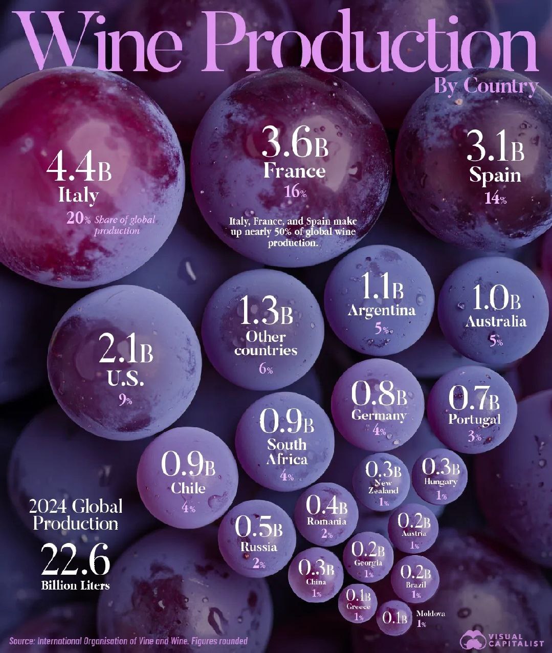 Каждая вторая бутылка вина в мире родом из трёх стран: Италии, Франции и Испании