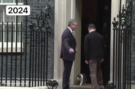 "Кошачья дипломатия" – так кот Ларри объяснил свой отказ войти в резиденцию вместе с Зеленским