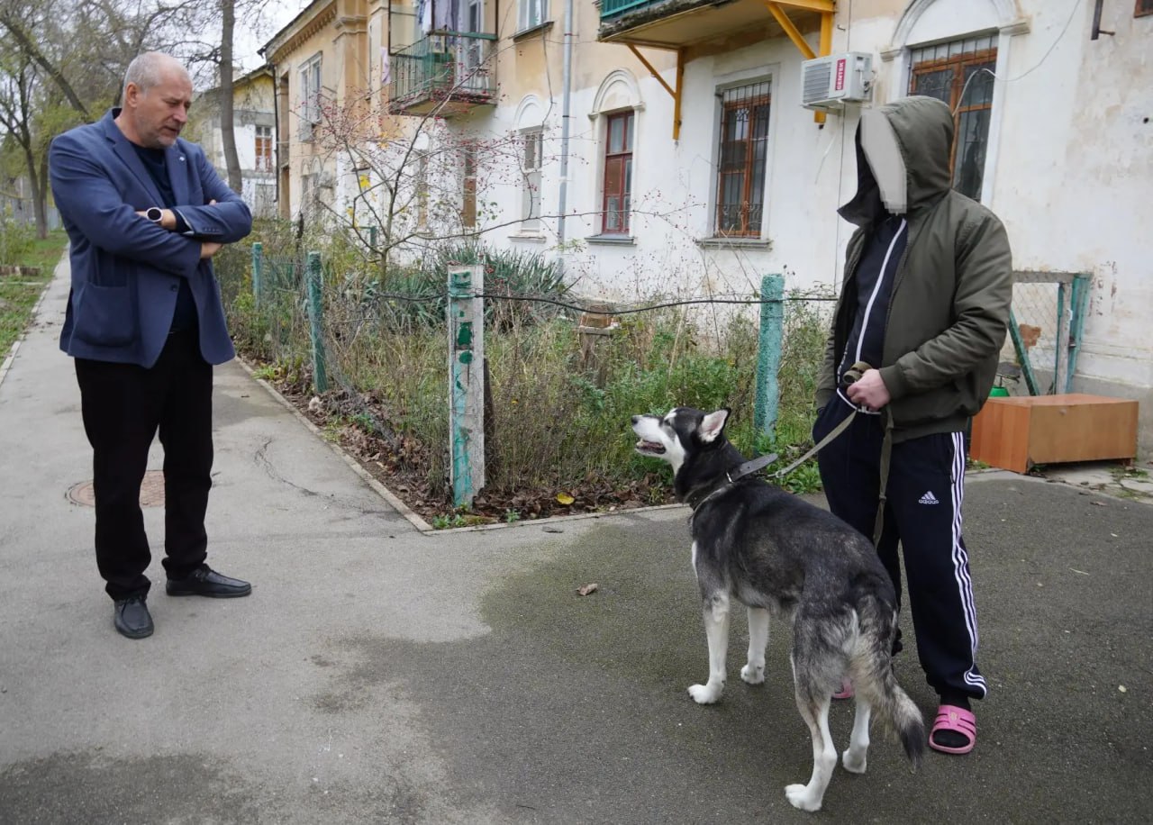 От жителей многоквартирного дома по улице Суворова стали поступать многочисленные жалобы: в одной из квартир поселился новый жилец с собакой породы маламут От жителей многоквартирного дома по улице Суворова стали поступать многочисленные жалобы: в одной из квартир поселился новый жилец с собакой породы маламут