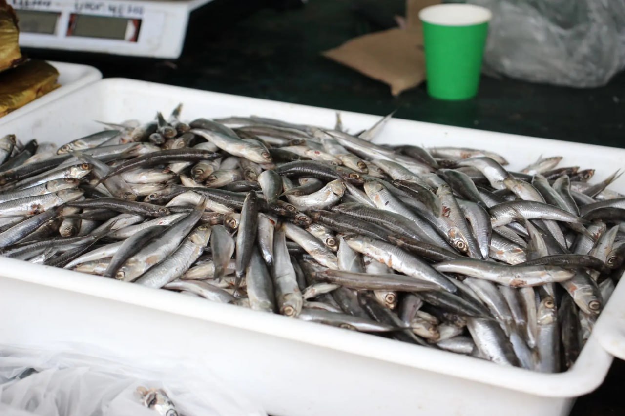 В Керчи продолжаются профилактические рейды по выявлению незаконной торговли В Керчи продолжаются профилактические рейды по выявлению незаконной торговли