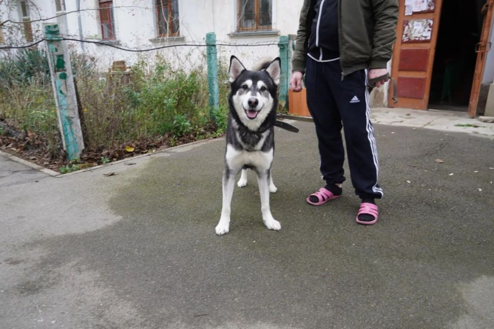 �� ������� ���������������� ���� �� ����� �������� ����� ��������� �������������� ������: � ����� �� ������� ��������� ����� ����� � ������� ������ �������