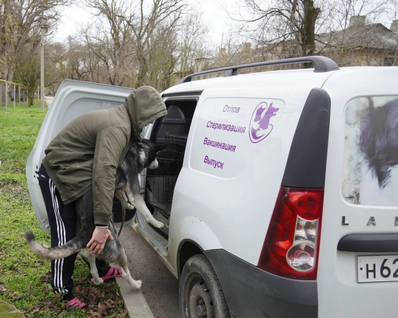 От жителей многоквартирного дома по улице Суворова стали поступать многочисленные жалобы: в одной из квартир поселился новый жилец с собакой породы маламут От жителей многоквартирного дома по улице Суворова стали поступать многочисленные жалобы: в одной из квартир поселился новый жилец с собакой породы маламут