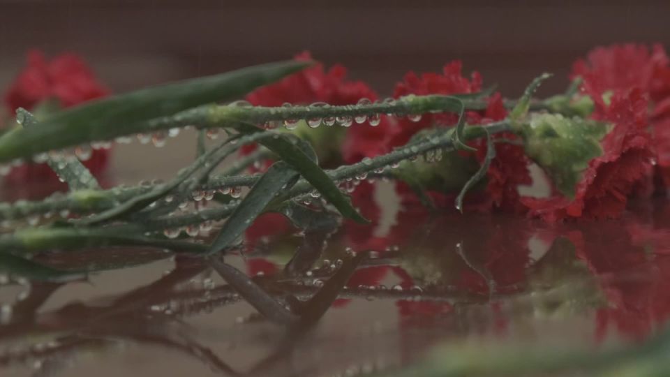 ����� ��������: ��� �������� ����� �� ����� ����� �������, � ���� ������ ���������, �������� ������ � ������ � ��������, ��� ����� � ������ ������ ����� ��������, ��� ����� �������� ������� ������� � ������� ������