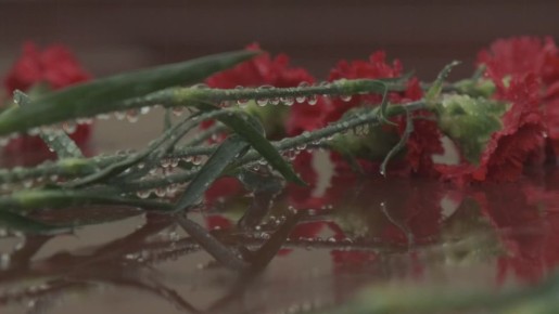 Янина Павленко: Под плачущем небом на Холме Славы сегодня, в День Героев Отечества, склоняем головы в память о ялтинцах, чья жизнь и деяния всегда будут примером, чьи имена золотыми буквами вписаны в историю страны