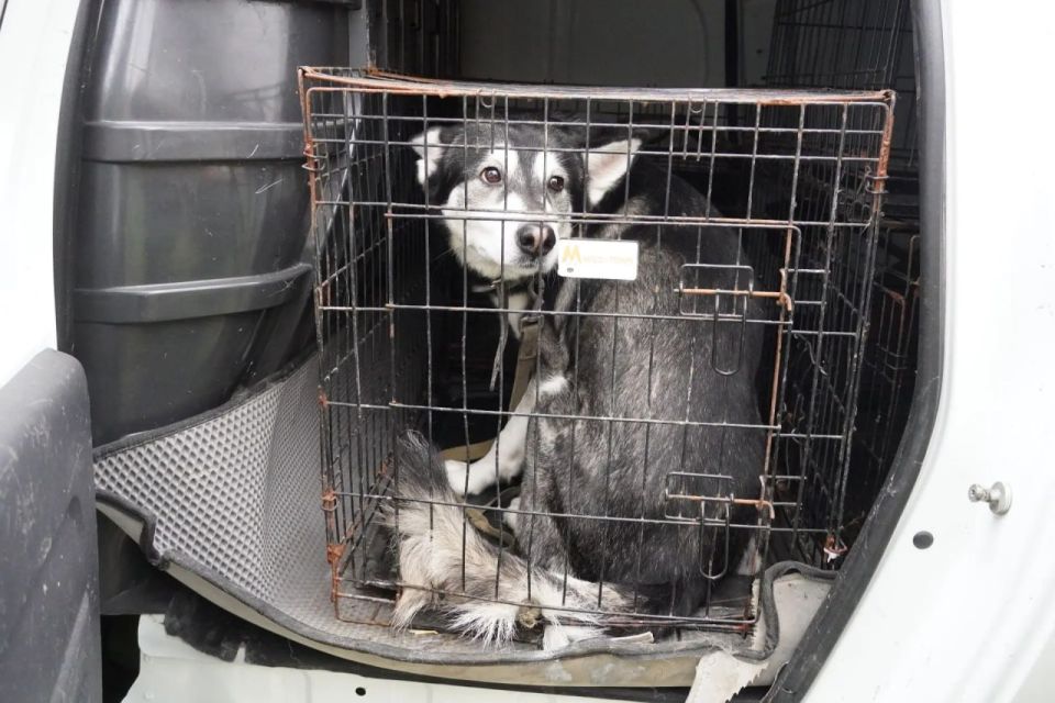 �� ������� ���������������� ���� �� ����� �������� ����� ��������� �������������� ������: � ����� �� ������� ��������� ����� ����� � ������� ������ �������