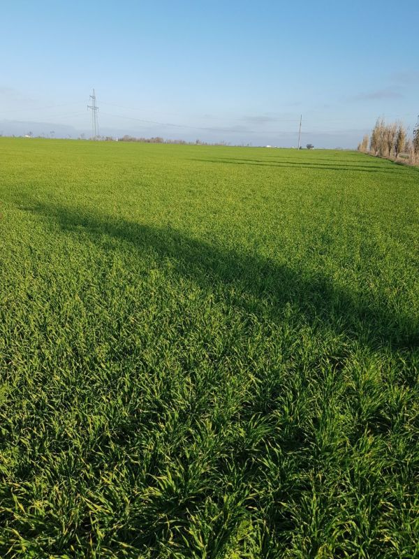 � ����� ������������ ������� ������ ������� ����������� ������ �� �������� ��������� ��������� ������������� �������� ������ ������� �������� ������ �� ����������� � ���������� �������� ���������