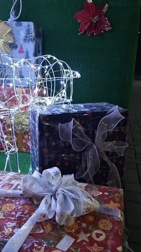 Валентина Биджакова: Пока главная новогодняя красавица наряжается, чтобы встретиться с вами, индивидуальные предприниматели Белогорска делают свой весомый вклад в праздничное убранство города!