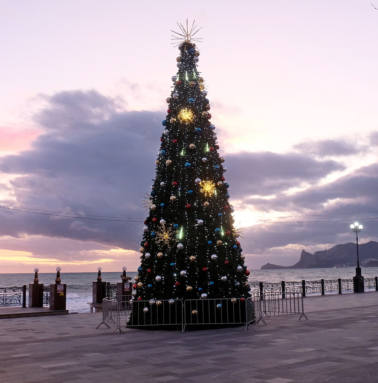 О месте установки главной городской ёлки