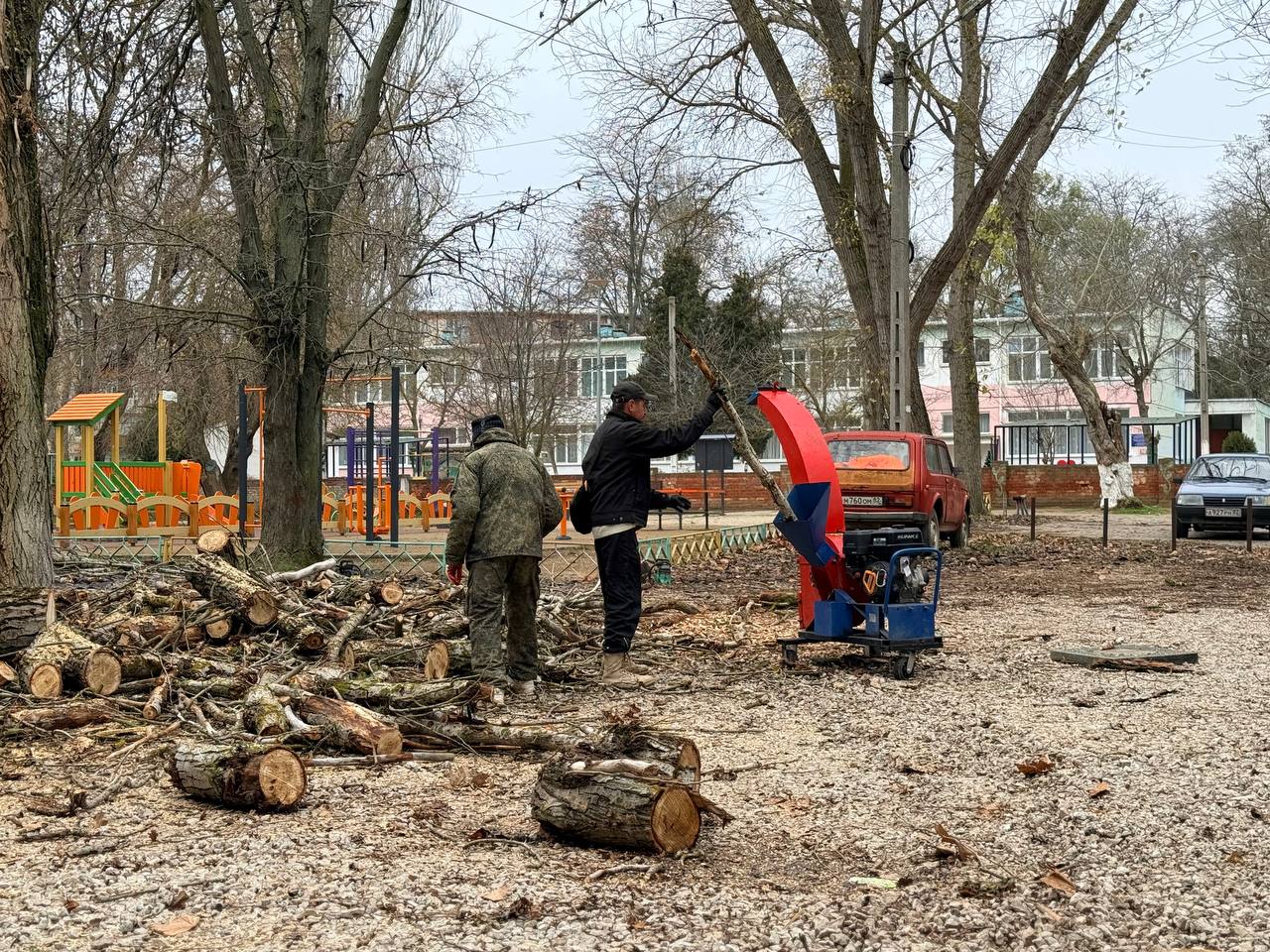 В городе продолжается планомерная работа по сносу аварийных деревьев В городе продолжается планомерная работа по сносу аварийных деревьев