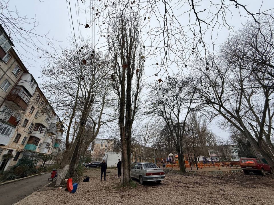 � ������ ������������ ����������� ������ �� ����� ��������� ��������