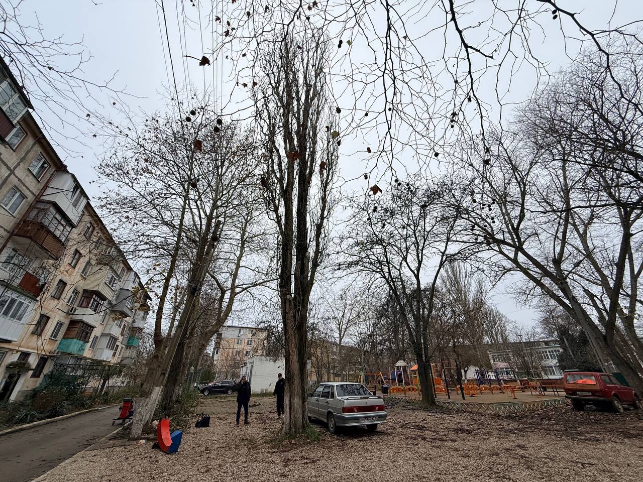 В городе продолжается планомерная работа по сносу аварийных деревьев В городе продолжается планомерная работа по сносу аварийных деревьев