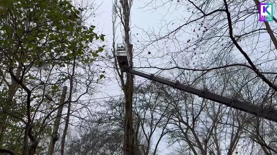 � ������ ������������ ����������� ������ �� ����� ��������� ��������