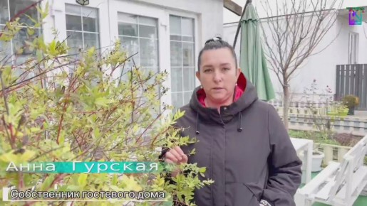 Гостевые дома Керчи проходят обязательную классификацию