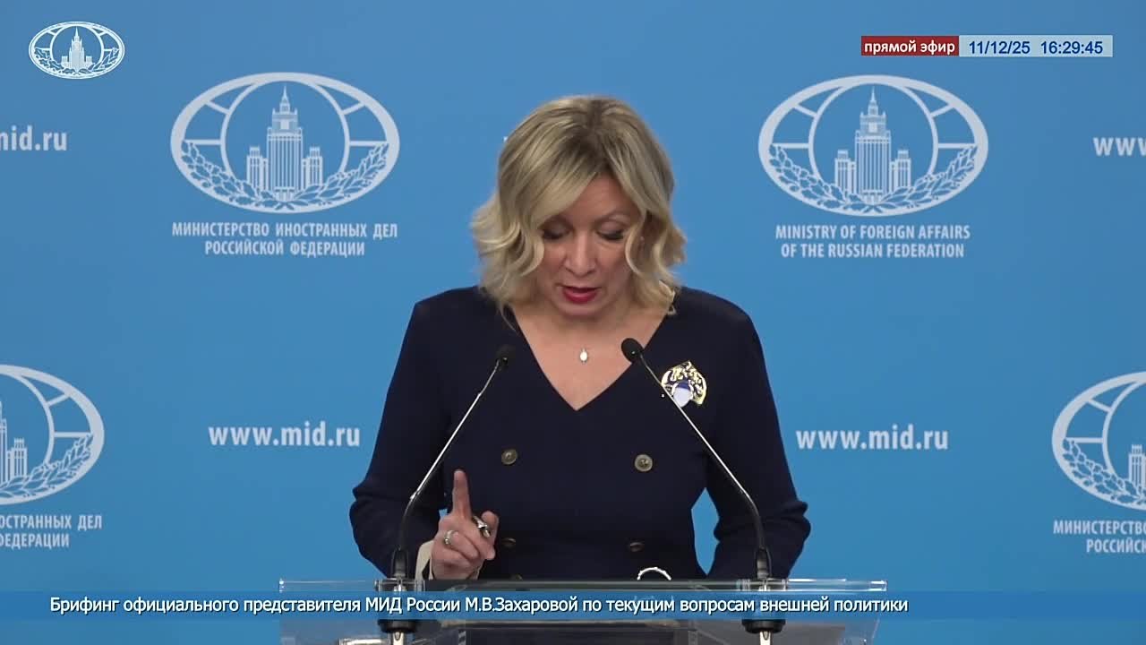 Захарова назвала задержание российского учёного в Польше политической провокацией